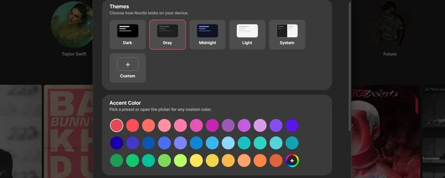 The appearance settings, showing theme choices and the custom accent colour picker.